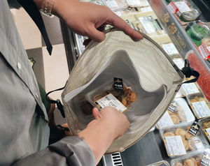 (in Progress...) DCF Food Bag with Thermal